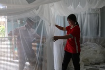 Mắc màn nuôi tằm, nông dân thảnh thơi thu bạc triệu mỗi ngày