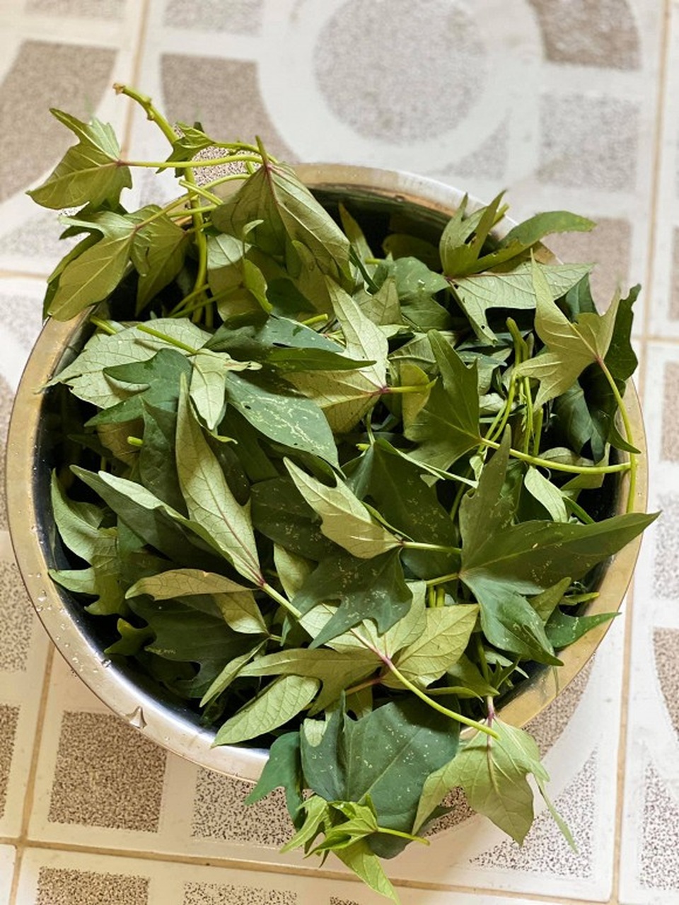 Siêu mẫu Võ Hoàng Yến hái rau lang “cải thiện” bữa ăn ở khu cách ly - 6 Siêu mẫu Võ Hoàng Yến hái rau lang “cải thiện” bữa ăn ở khu cách ly - 6