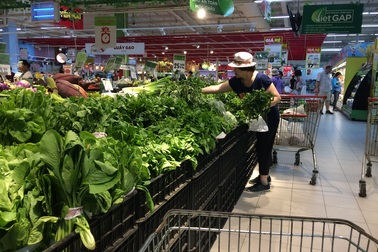 Người Hà Nội "bình chân như vại" trước cơn bão số 10