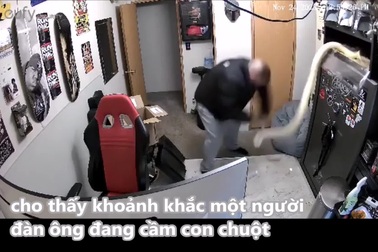 Khoảnh khắc trăn bất ngờ lao ra cắn vào mặt chủ khi đang được cho ăn