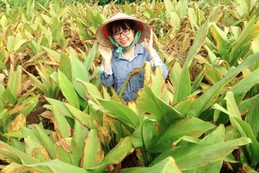 Rời TPHCM, cô gái quê nghèo thành công với củ nghệ bán ở trời Tây