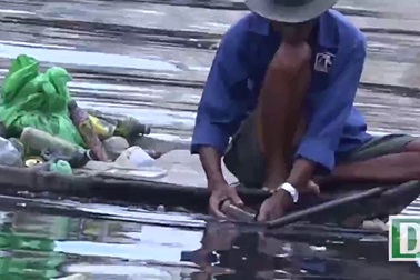 Mưu sinh trên dòng kênh đen