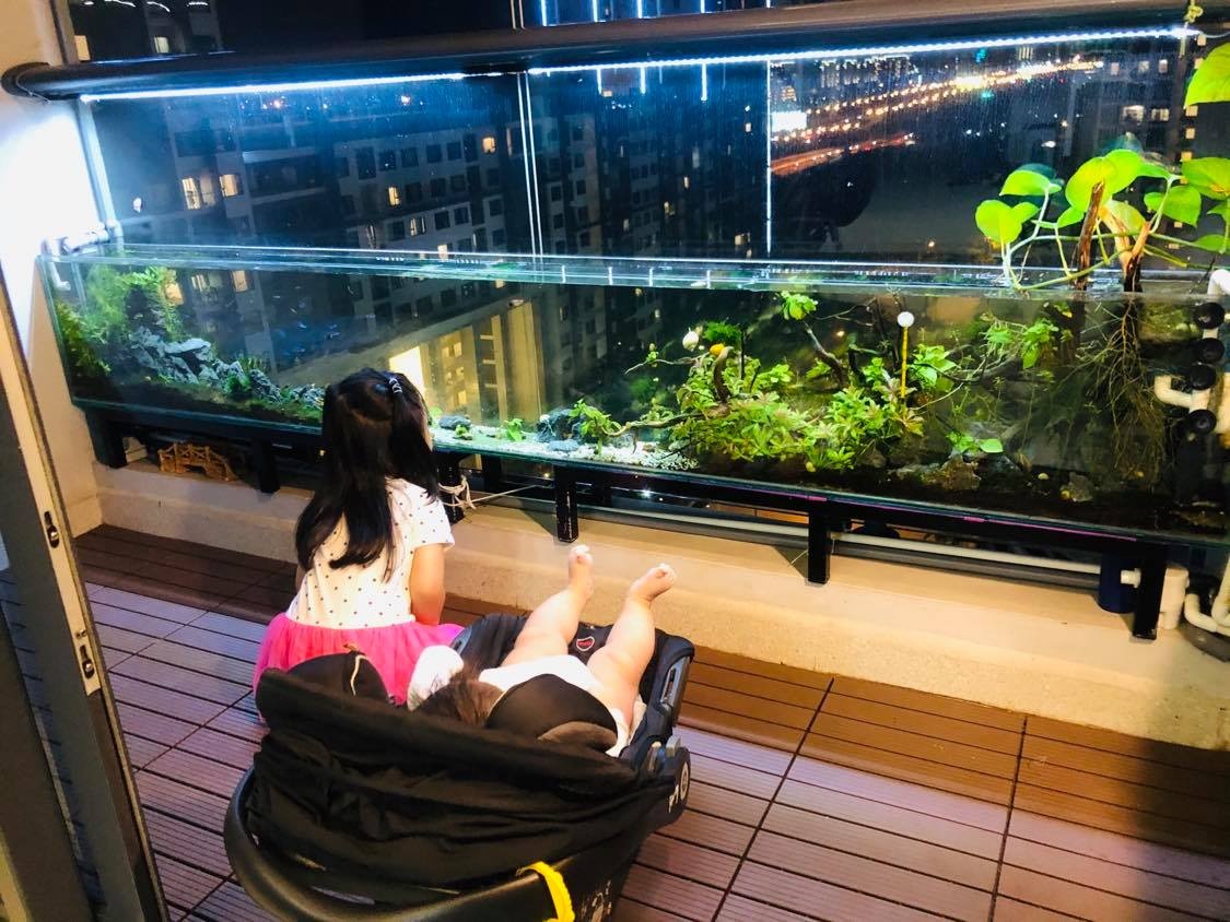 Ông bố ở Sài Gòn biến ban công thành vườn thu nhỏ với hồ cá, cây xanh - 12 Ông bố ở Sài Gòn biến ban công thành vườn thu nhỏ với hồ cá, cây xanh - 12