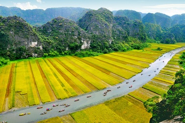 Không tổ chức tuần du lịch “Sắc vàng Tam Cốc - Tràng An”