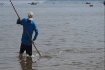 Ngư dân xoay vòng trên biển, rẽ sóng, "hóng" con bé tí teo