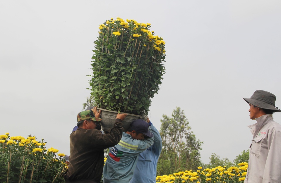 Phú Yên: Người lao động “còng lưng” kiếm tiền những ngày giáp Tết - 2 Phú Yên: Người lao động “còng lưng” kiếm tiền những ngày giáp Tết - 2