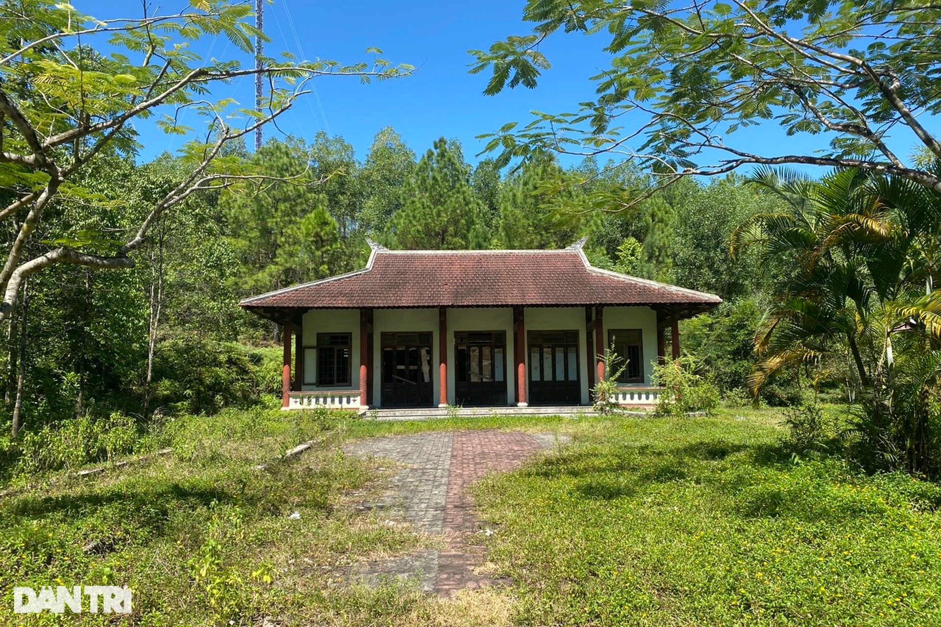 Nhiều vật lạ bên trong căn biệt thự giữa rừng của lãnh chúa miền Trung - 11 Nhiều vật lạ bên trong căn biệt thự giữa rừng của lãnh chúa miền Trung - 11