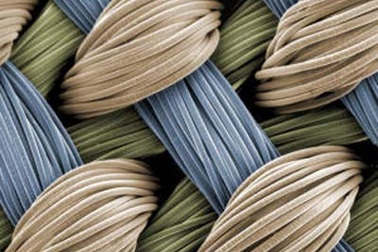 Bước tiến dài tới sụn nhân tạo