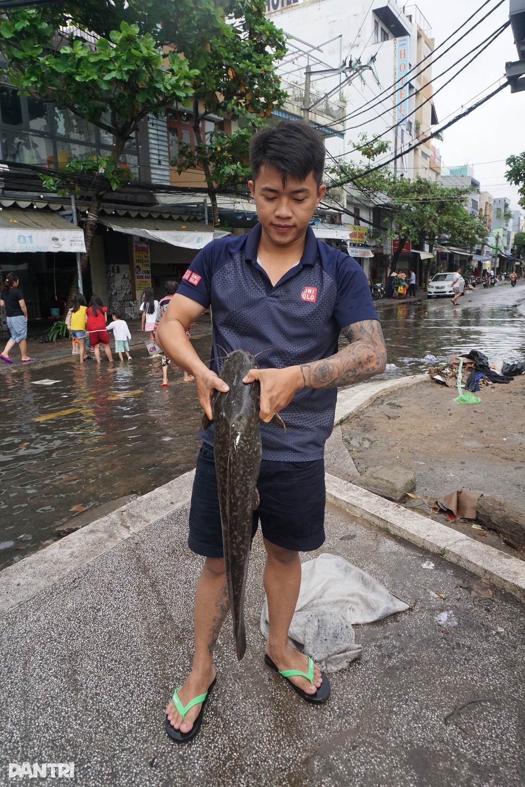 Sau mưa ngập, người Đà Nẵng mang rổ ra phố... bắt cá - 6 Sau mưa ngập, người Đà Nẵng mang rổ ra phố... bắt cá - 6