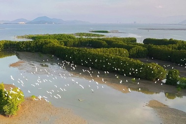 Sắp có khu vui chơi thủy cung trên đầm Thị Nại