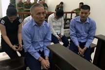 Hai người Trung Quốc lĩnh án tù vì tổ chức cho phụ nữ Việt Nam mang thai hộ