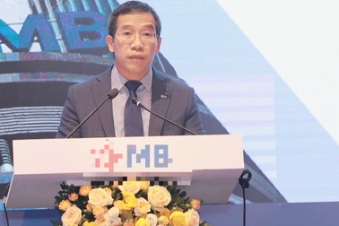 Ông Lưu Trung Thái: MB không ưu tiên đặc biệt, không đầu tư gì với Novaland