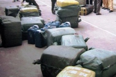 Phát hiện hơn 300 kg nội tạng hôi thối đang đưa đi tiêu thụ