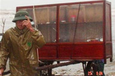 Tâm bão đổ vào Hà Tĩnh - Quảng Bình