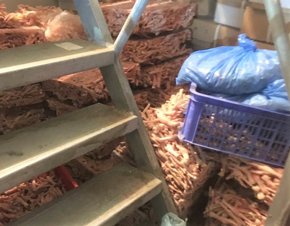 300kg chân gà không nguồn gốc nằm chờ tiêu thụ dịp Tết Nguyên đán - 2 300kg chân gà không nguồn gốc nằm chờ tiêu thụ dịp Tết Nguyên đán - 2