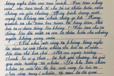 Nét chữ đẹp như mơ của học sinh TPHCM