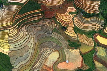 Mù Cang Chải nhận Bằng xếp hạng Di tích Quốc gia đặc biệt Ruộng bậc thang