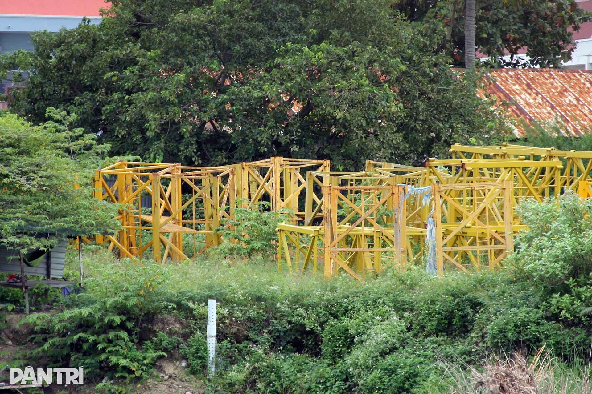 Cảnh hoang tàn ở khu đất vàng 20.000m2 khiến cựu lãnh đạo Khánh Hòa hầu tòa - 8 Cảnh hoang tàn ở khu đất vàng 20.000m2 khiến cựu lãnh đạo Khánh Hòa hầu tòa - 8