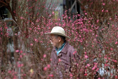 CPI vẫn tiếp đà giảm bất chấp tháng Giáp Tết