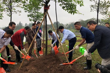 AEON và hành trình mang hoa anh đào Nhật Bản về Việt Nam