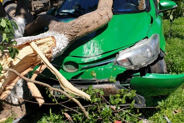 Tránh Camry, taxi leo dải phân cách tông đổ cây xanh