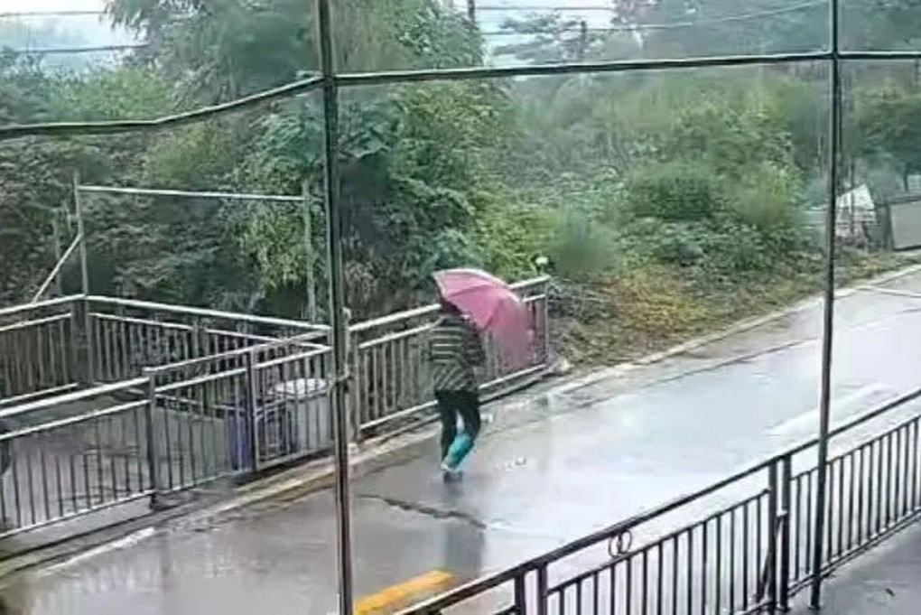 Cụ bà sống sót kỳ diệu sau 6 ngày đi lạc trong rừng - 1 Cụ bà sống sót kỳ diệu sau 6 ngày đi lạc trong rừng - 1