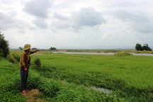 Phú Yên: Mất đất sản xuất, người dân cầu cứu chính quyền