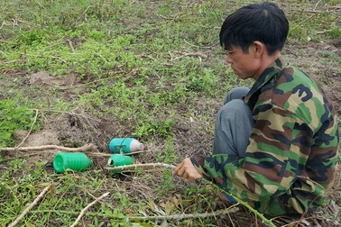 Nguy cơ ô nhiễm môi trường do sử dụng thuốc diệt cỏ tràn lan