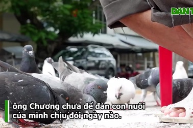 Người đàn ông ở Cần Thơ 10 năm nuôi chim trời