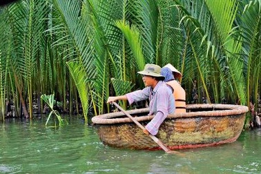 Phục hồi rừng dừa nước ven biển