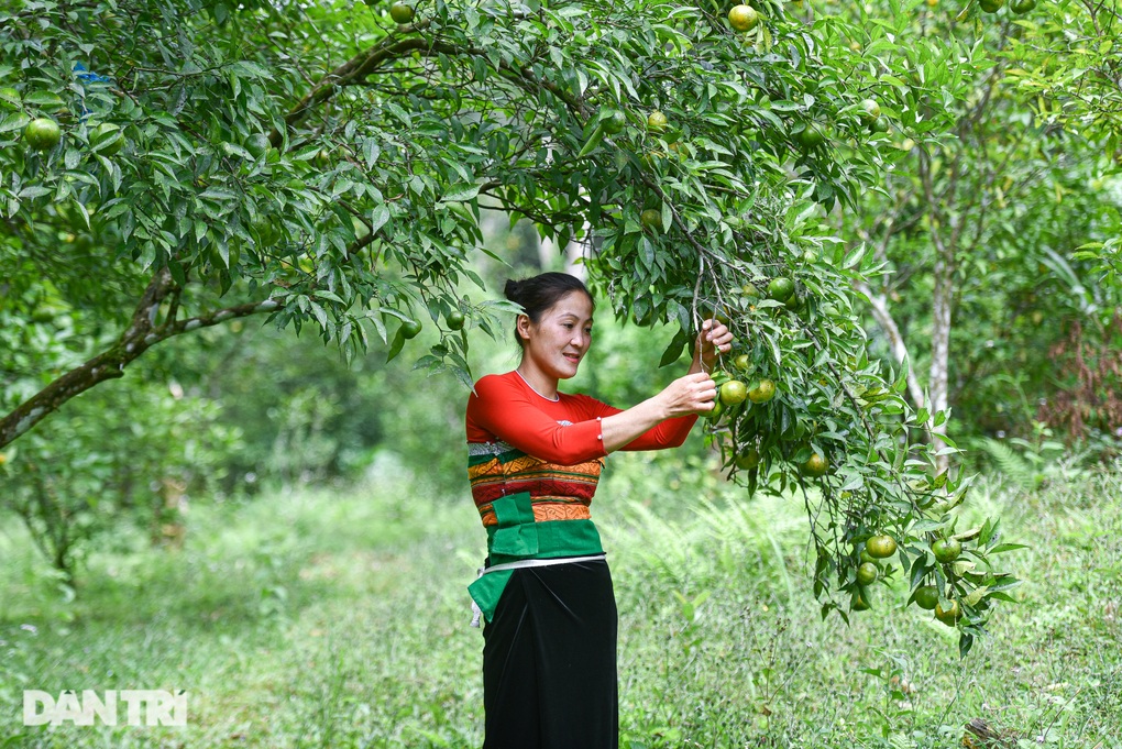 Người Thái ở bản vùng cao Thanh Hóa thoát nghèo nhờ du lịch - 1 Người Thái ở bản vùng cao Thanh Hóa thoát nghèo nhờ du lịch - 1