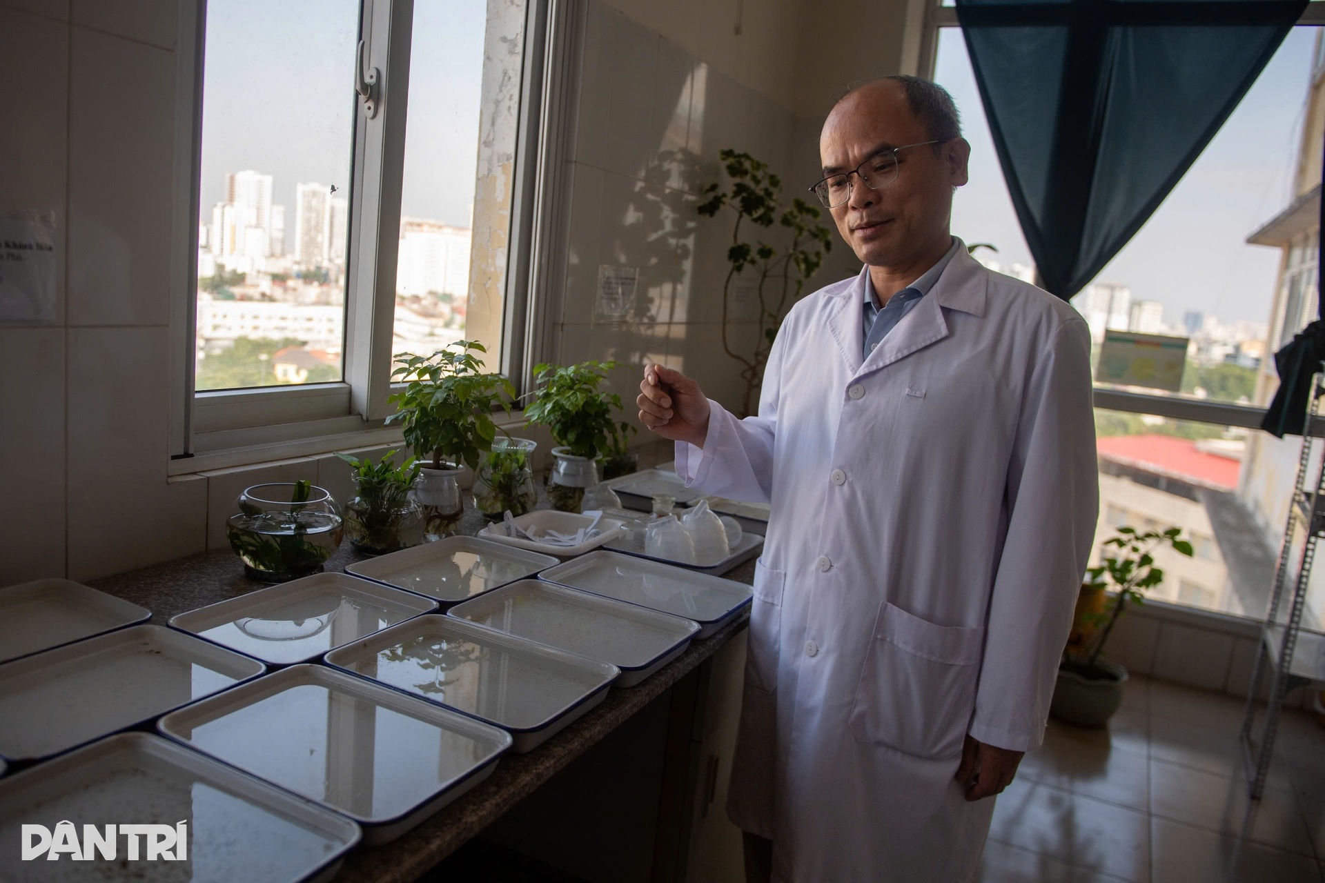 ហាណូយ៖ ចូលដល់កន្លែងចិញ្ចឹមមូសរាប់ពាន់ក្បាល ដើម្បីរកអាវុធការពារជំងឺគ្រុនឈាម - 4 Hà Nội: Vào nơi nuôi hàng nghìn con muỗi tìm vũ khí chặn sốt xuất huyết - 4