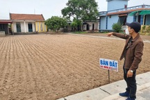 Sau Tết, nhà đầu cơ vùng ven ồ ạt "xả" đất