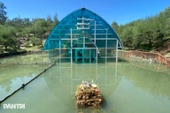 Phê bình đơn vị quản lý để tháp Chăm nghìn năm tuổi bị ngập lụt