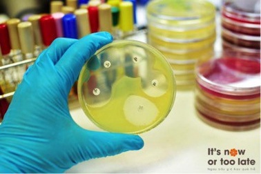 Đề kháng kháng sinh - hành động ngay bây giờ hoặc không bao giờ