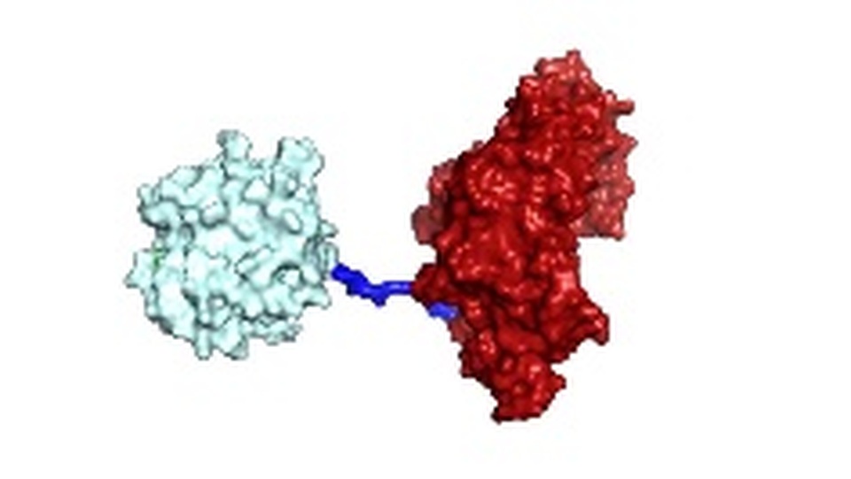 Triển vọng xử lý rác thải nhựa bằng loại enzyme mới - 1 Triển vọng xử lý rác thải nhựa bằng loại enzyme mới - 1