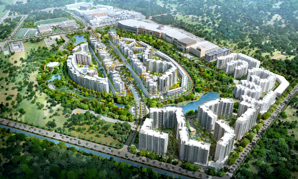 Cấp sổ hồng: Khi quýt làm, cam chịu - 1 Cấp sổ hồng: Khi quýt làm, cam chịu - 1