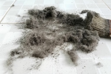 Bụi vải tấn công chung cư Ehome 3: Kết quả kiểm định bị... hoài nghi