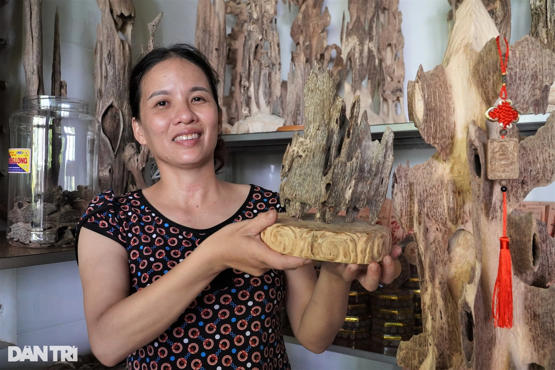 लोग अपनी जिंदगी बदलते हैं, कारें खरीदते हैं, खूबसूरत घर बनाते हैं, यह सब एक ऐसे पौधे की बदौलत होता है जो मीठी खुशबू देता है - 8 Dân đổi đời, mua xế hộp, xây nhà đẹp nhờ loại cây tỏa ra mùi thơm dịu - 8