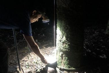 "Vàng trắng" và phận người