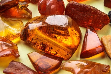 Lần đầu tiên tìm thấy con bọ ve quấn mạng nhện trong mảnh hổ phách