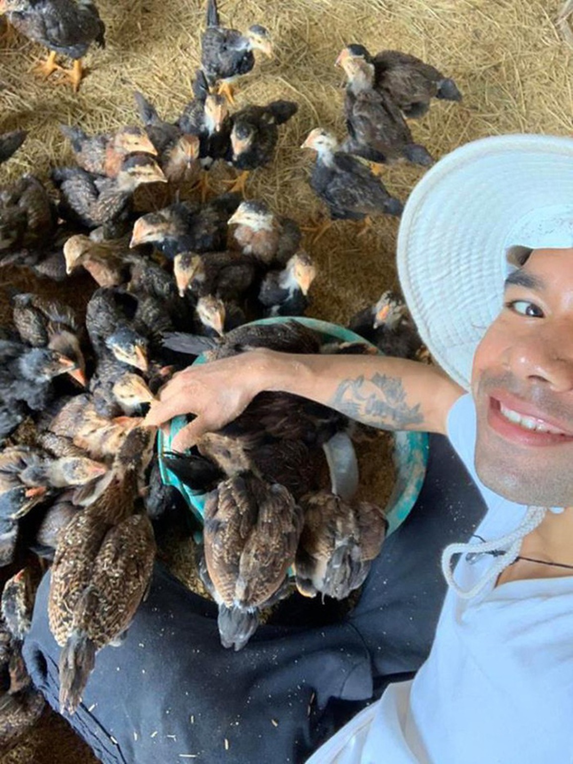 Siu Black và những nghệ sĩ về quê... làm rẫy, nuôi heo - 6 Siu Black và những nghệ sĩ về quê... làm rẫy, nuôi heo - 6