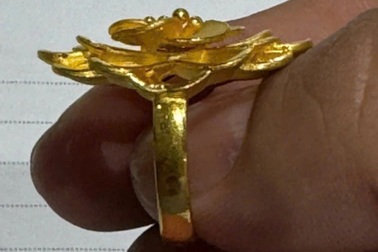 Lời khai của nghi phạm cướp tiệm vàng ở TPHCM