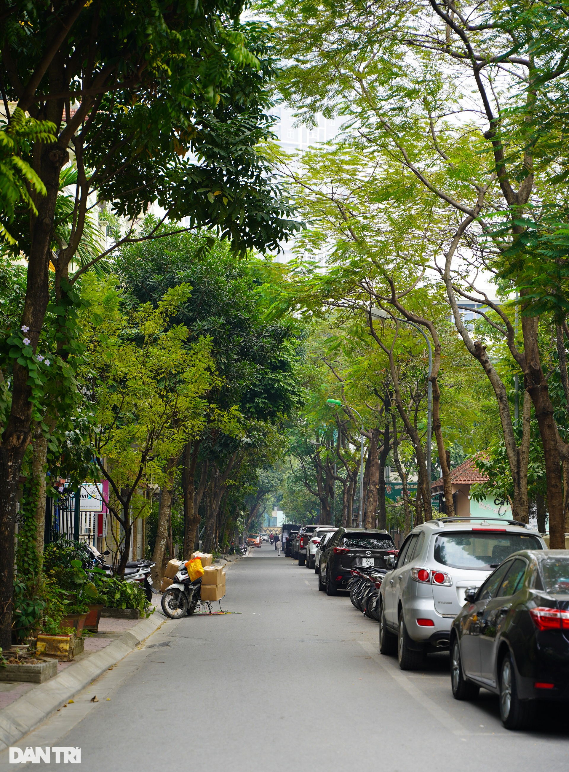 Cận cảnh 2 phố ở Hà Nội vừa được đặt tên nhà thơ Lưu Quang Vũ và Xuân Quỳnh - 9 Cận cảnh 2 phố ở Hà Nội vừa được đặt tên nhà thơ Lưu Quang Vũ và Xuân Quỳnh - 9