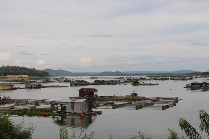 La Ngà thanh bình và như một thành phố nổi trên sông, trở thành nét đặc trưng của huyện Định Quán, tỉnh Đồng Nai. (Ảnh: XT).