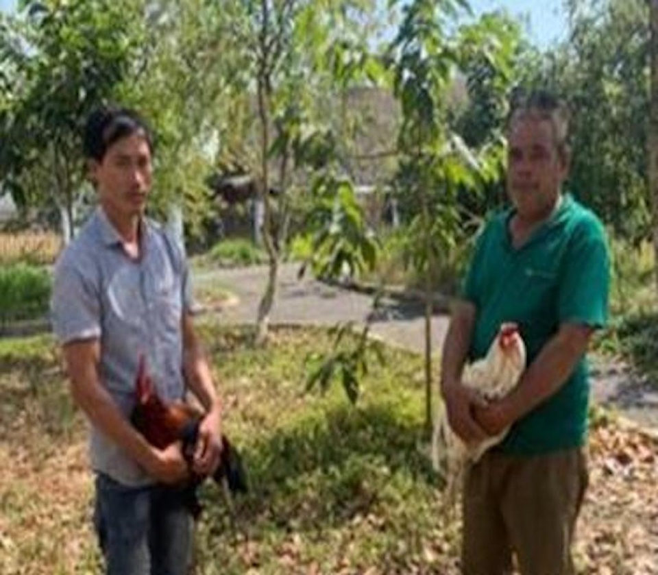 Hàng chục con bạc sát phạt nhau tại trường gà giữa vườn điều - 2 Hàng chục con bạc sát phạt nhau tại trường gà giữa vườn điều - 2