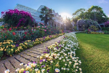 Cụ ông 70 tuổi biến đất toàn cỏ dại thành vườn 5000m2 đẹp như tiên cảnh