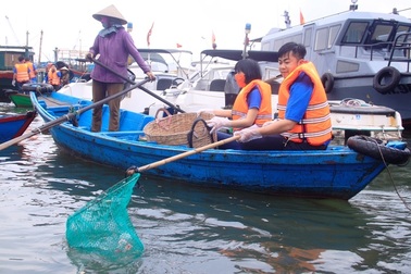 Bình Định: Thanh niên chèo thuyền, vớt rác quanh khu “ổ chuột”