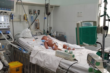 Vết muỗi chích khiến bé 9 tháng tuổi sốc nặng, nguy kịch