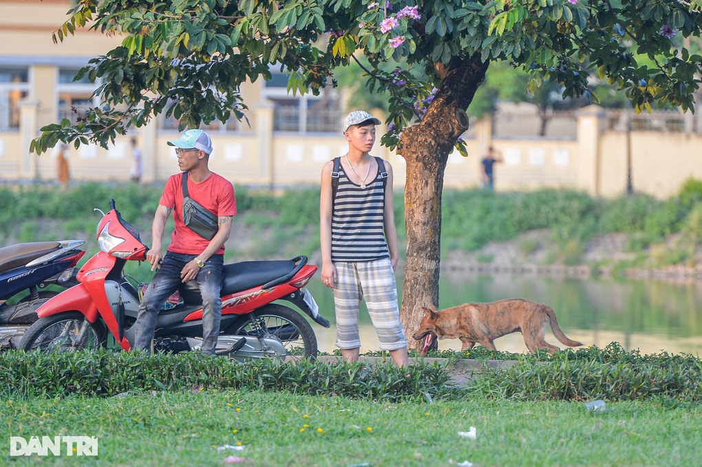 Chợ đồ cũ họp trong công viên, tiểu thương cầm dao hỗn chiến - 12 Chợ đồ cũ họp trong công viên, tiểu thương cầm dao hỗn chiến - 12